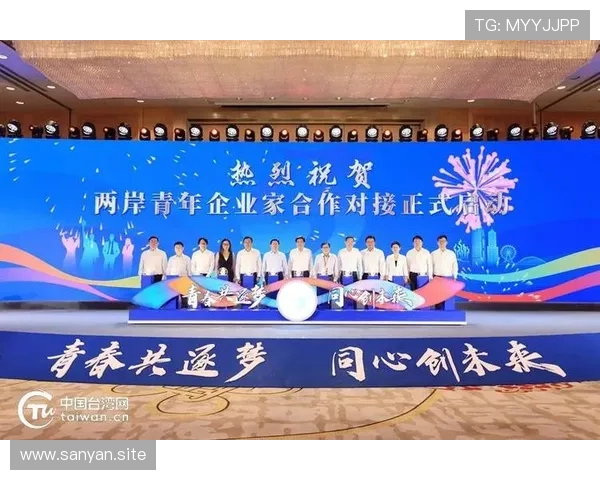 杰出青年企业家引领创新潮流助力经济发展开启未来创业新篇章