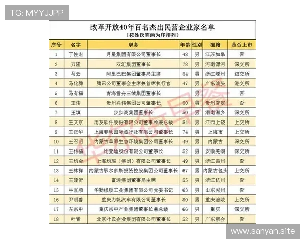 中国民营企业家最新实力排行榜揭晓洞察财富格局与时代创新力量