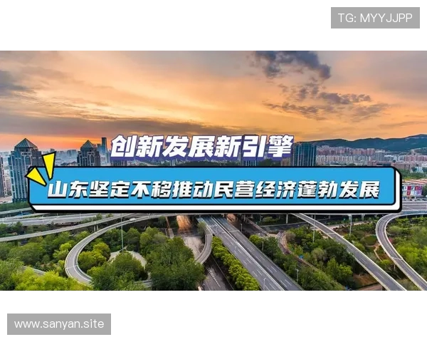 乡镇企业家如何在新时代背景下推动地方经济高质量发展与创新转型